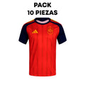 Jersey España Version Aficionado (1.1)